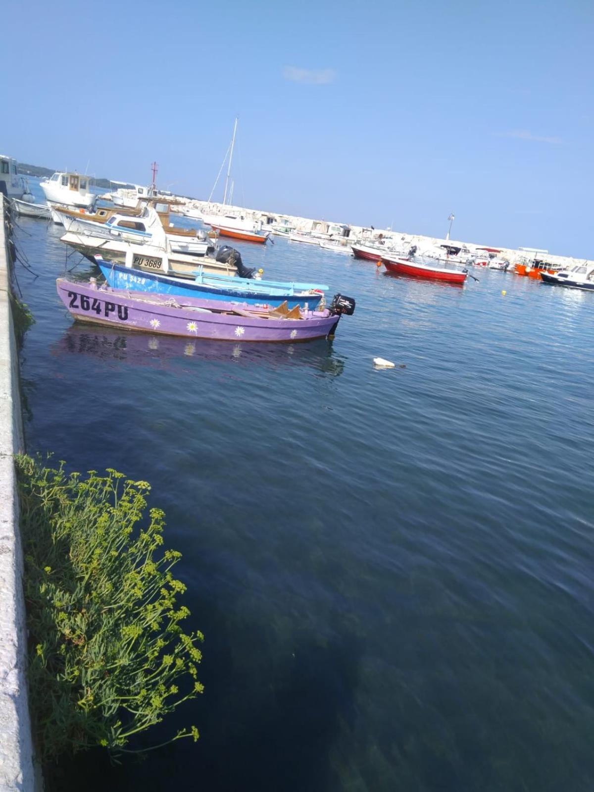 Hotel Villa Vera 2 Fažana Kültér fotó